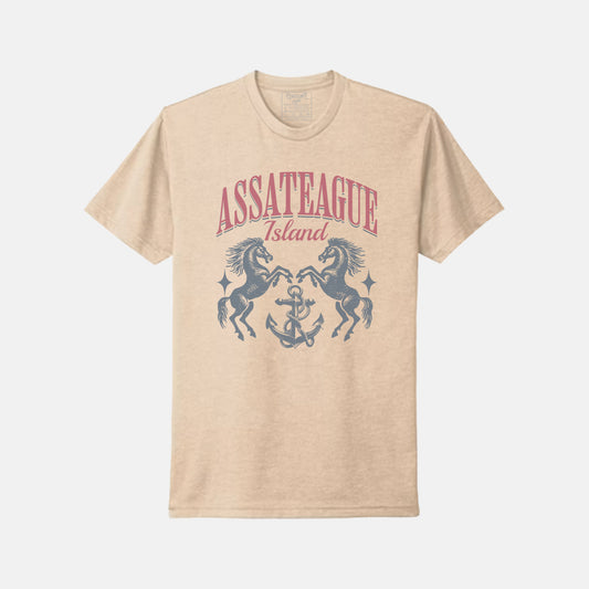 Assateague Horses T-Shirt