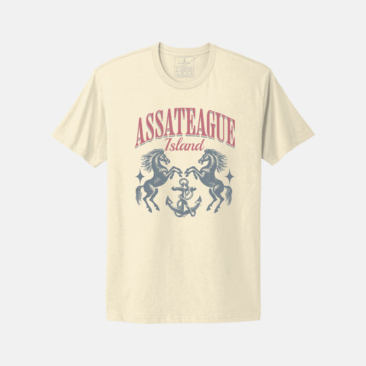 Assateague Horses T-Shirt